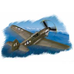 P-40N Kitty Hawk. HOBBY BOSS 80252