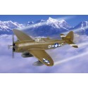 P-47D Thunderbolt. HOBBY BOSS 80283
