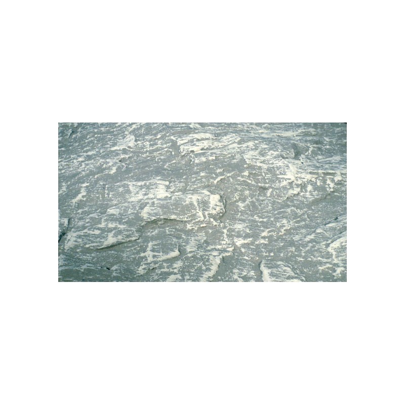 Rock foil, dolomite. HEKI 3502