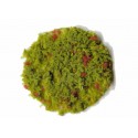 Flock, green and red. HEKI 3390