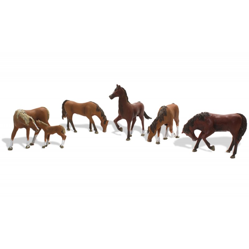 Chestnut Horses.