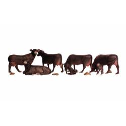 Vacas negras.