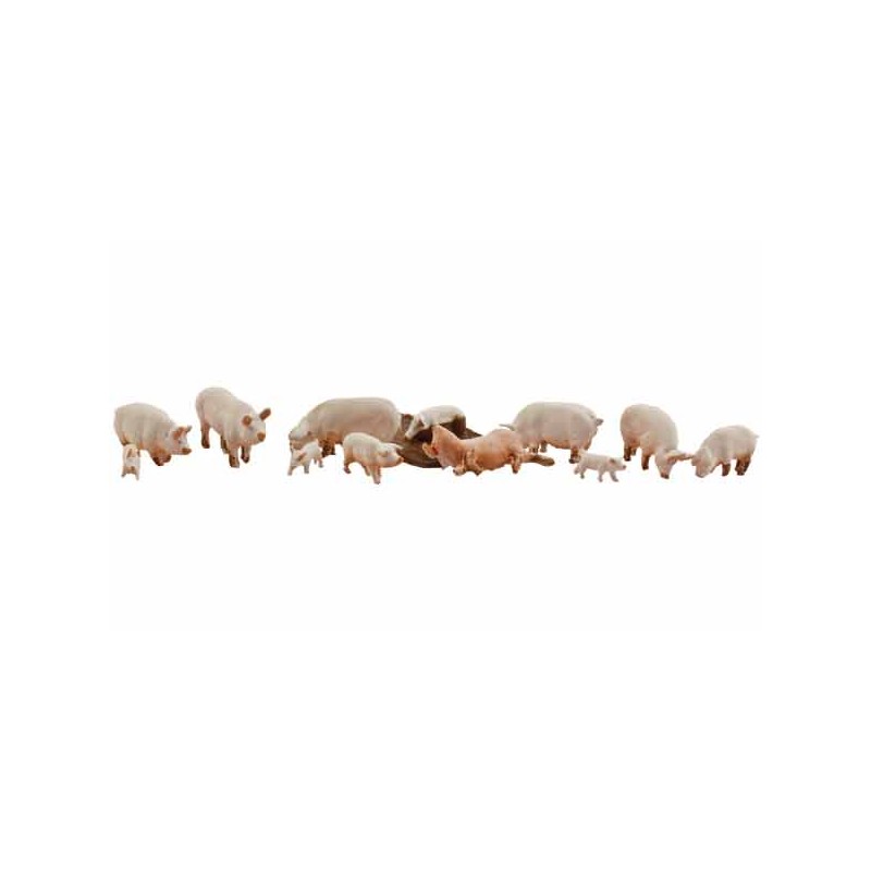 Yorkshire Pigs.