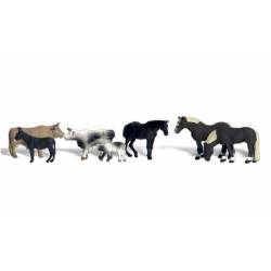 Animales de granja.