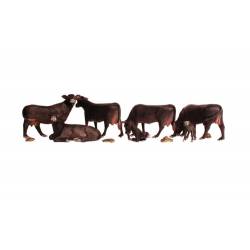 Des vaches noires.
