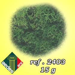 Muschio verde.