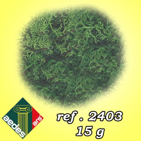 Moss. AEDES 2403