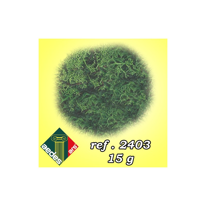 Musgo verde. AEDES 2403