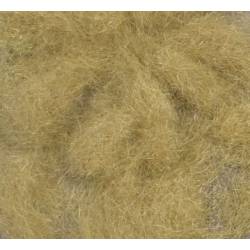 Grass flock, Late fall.