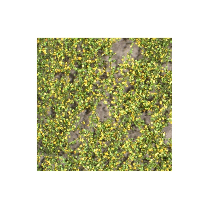 Lombardy poplar foliage. SILHOUETTE 913-23S