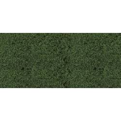 Leaf pine green.