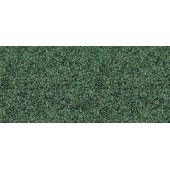 Hojarasca, verde sauce. HEKI 1689