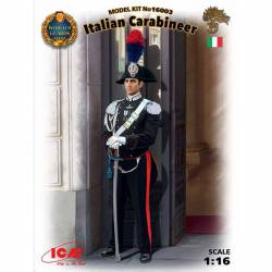 Carabinieri italiano.