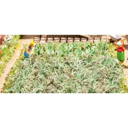 Vegetable garden set.
