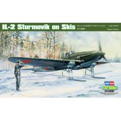 IL-2 Sturmovik con gli sci.