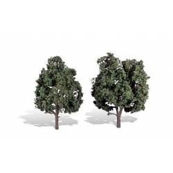 2 arbres feuillus.