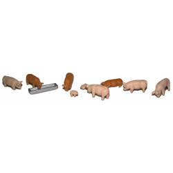 Schweine.