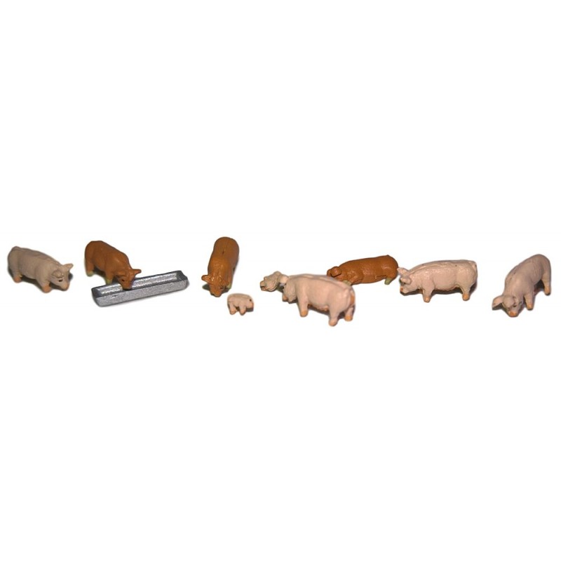Pigs.