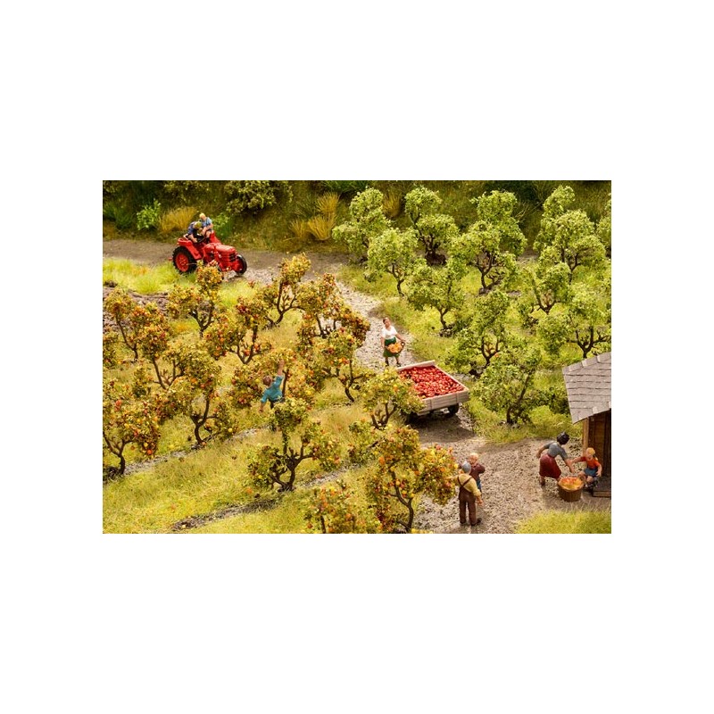 Plantación de árboles. NOCH 21530