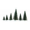 Fir trees. NOCH 26930