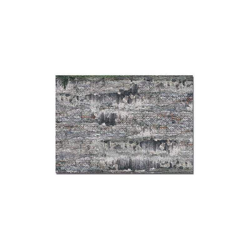 Muro deteriorado. BUSCH 7415