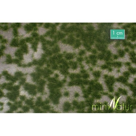 Two coloured grass tufts, summer. SILHOUETTE 737-22S