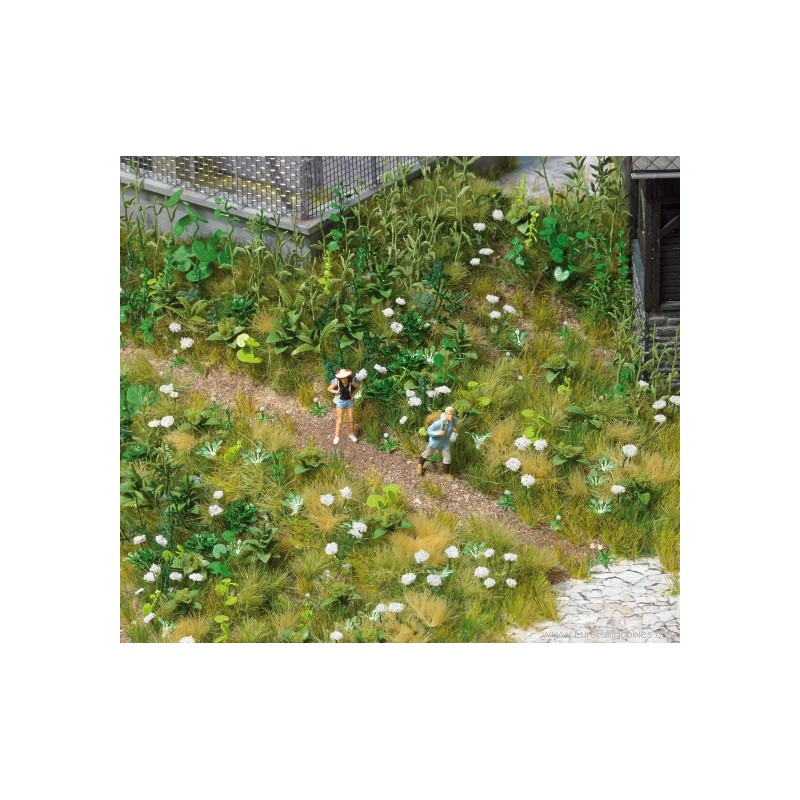 Maleza y plantas silvestres. BUSCH 1227