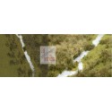 River - Fluvial Topography. BUSCH 1313
