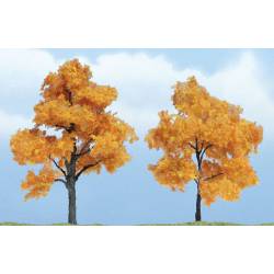 Arces en otoño.