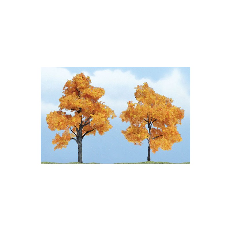 Arces en otoño. WOODLAND TR1604