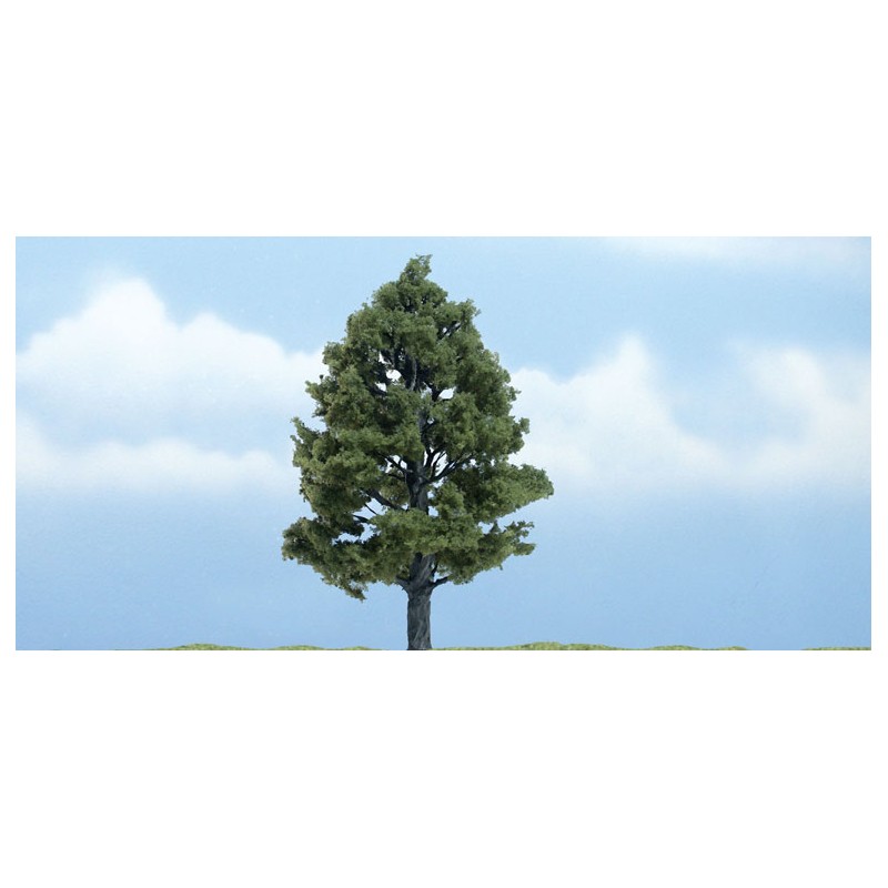 Liquidambar. WOODLAND TR1608