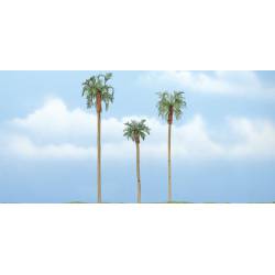 3 Palmeras.