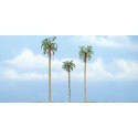 3 Palmeras. WOODLAND TR1617