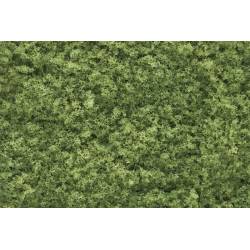 Fogliame verde chiaro.