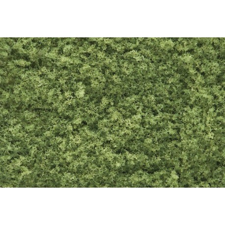 Foliage light green. WOODLAND F51