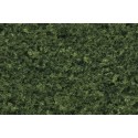 Medium green foliage. WOODLAND F52
