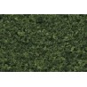 Follaje verde medio. WOODLAND F52
