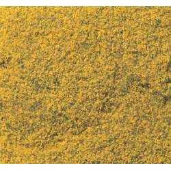 Flowering foliage yellow.