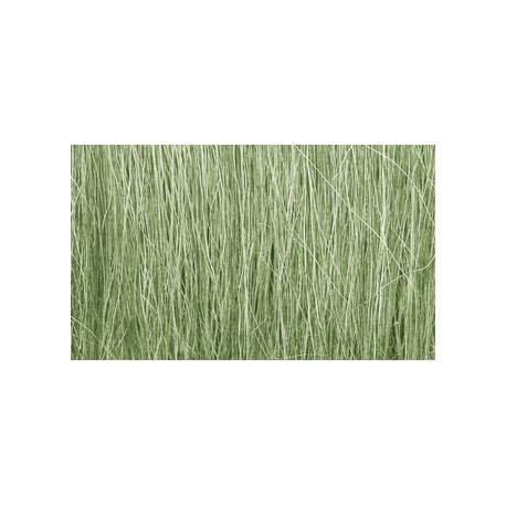 Field grass. WOODLAND FG173