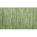 Field grass. WOODLAND FG173