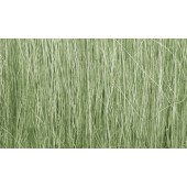 Hierba alta color verde claro. WOODLAND FG173