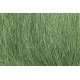 Hierba alta color verde medio. WOODLAND FG174