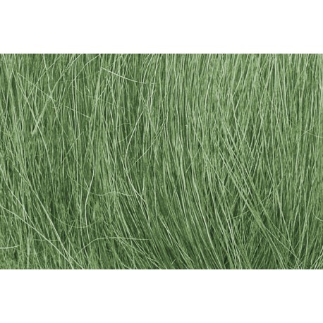 Field grass. WOODLAND FG174