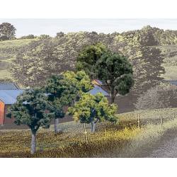 Lote de árboles caducifolios.