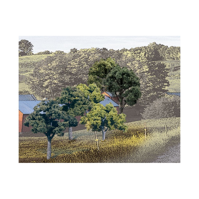 Lote de árboles caducifolios. WOODLAND TR1571