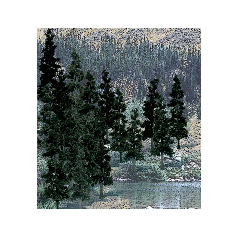 24 coníferas. WOODLAND TR1581