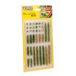 Tufos e fileiras de grama, verde.