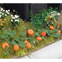 Calabazas, pepinos y lechugas.