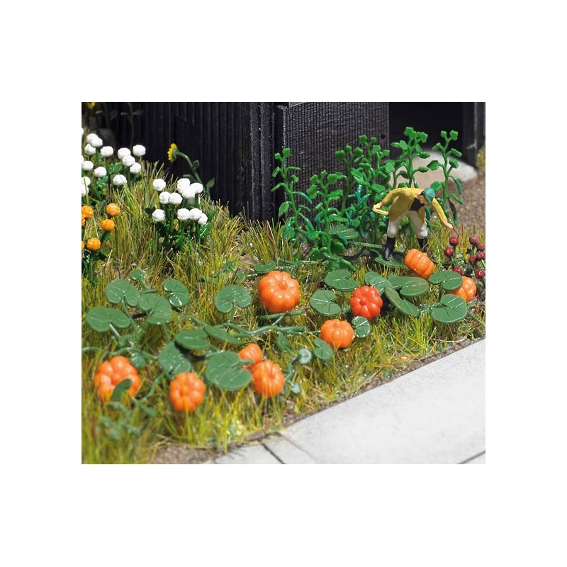 Calabazas, pepinos y lechugas. BUSCH 8101