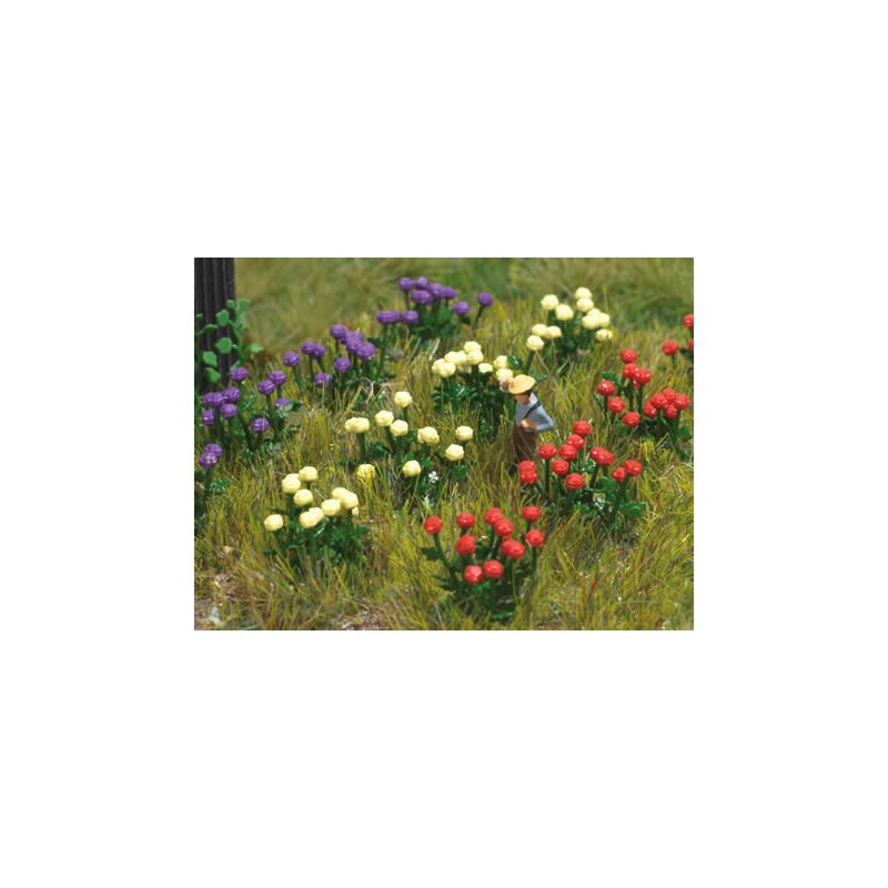 Dahlias. BUSCH 8109